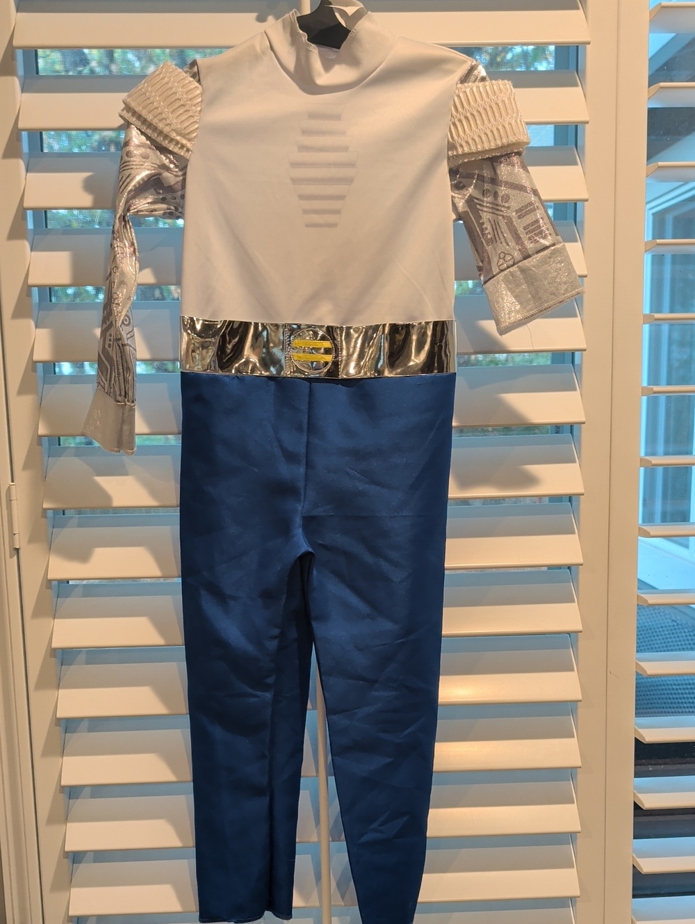Zombies 3 Costume